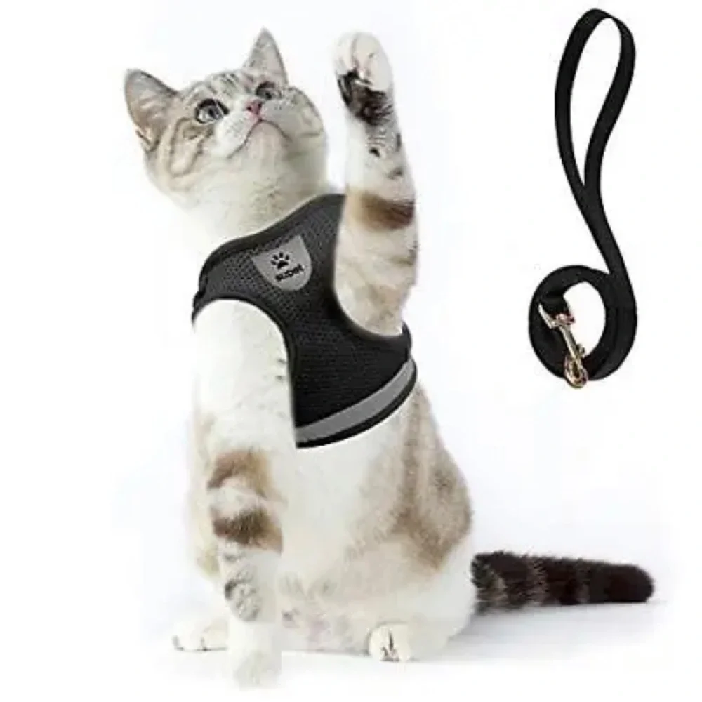 Supet Cat Small Harness Leash Set for Walking Cat Dog Rabbit Soft Mesh